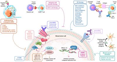 Integrating immunotherapy with conventional treatment regime for breast cancer patients- an amalgamation of armamentarium